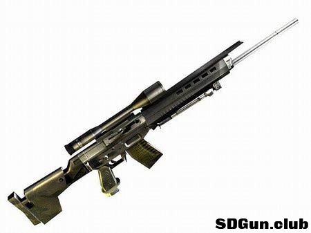 SG 550.jpg