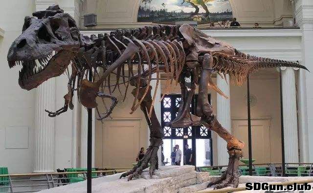 trex.jpg