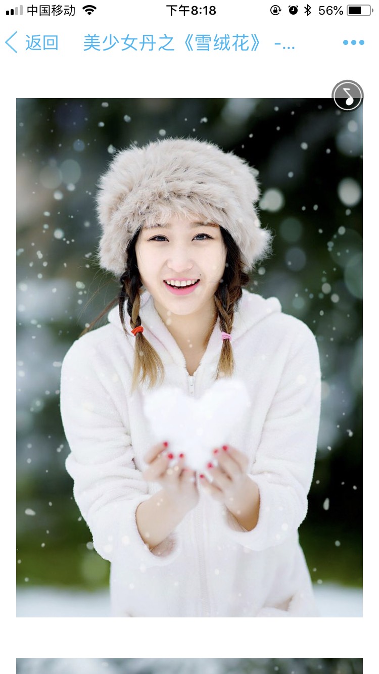 201912hj55csirkicicn55.jpg