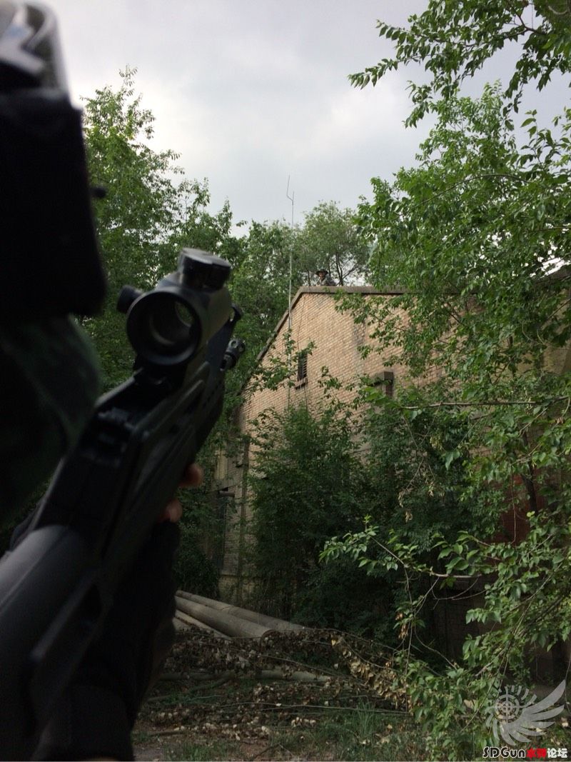 082234dk68ufug9uffoppf.jpg