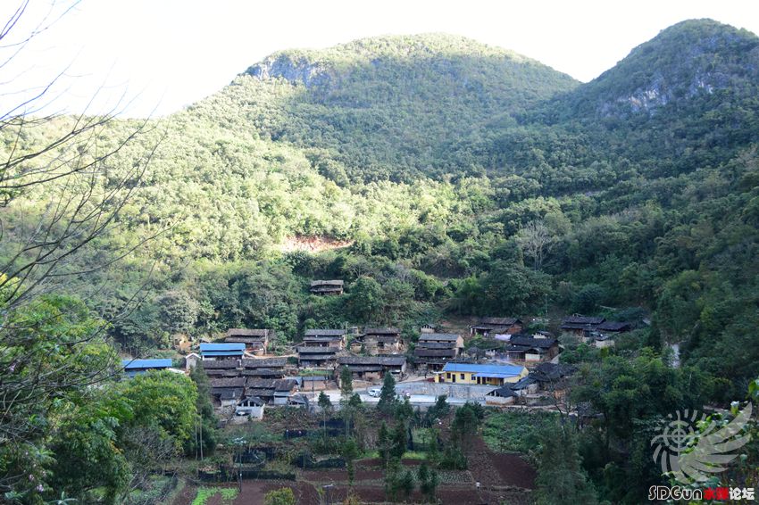 BCF_3280_副本.jpg