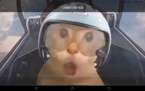 1748418300693.png